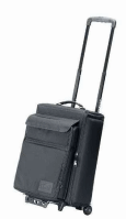 rp padded travel case